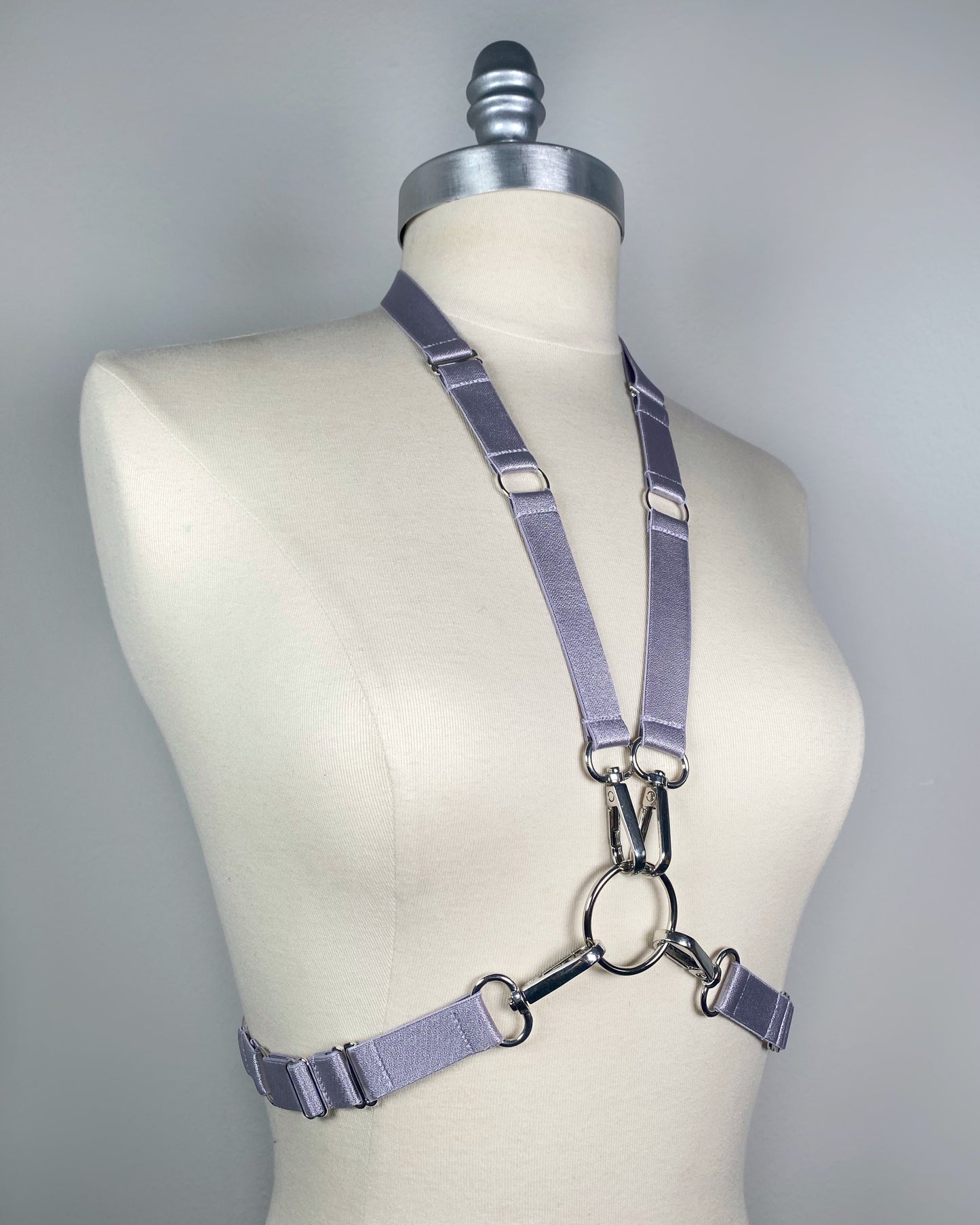 O-ring harness and carabiners